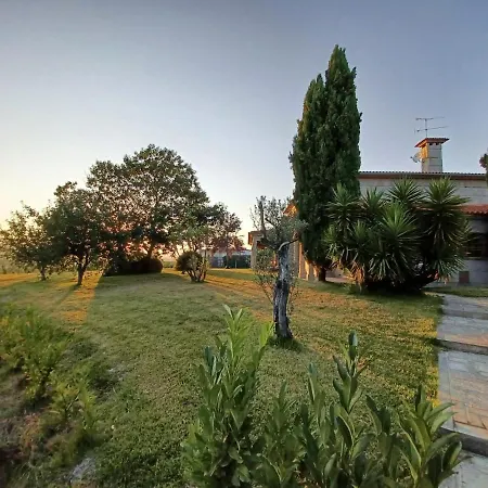 Quinta Do Carvalho - Nature Pensjonat