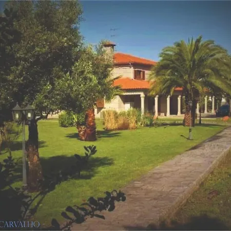 Quinta Do Carvalho - Nature *