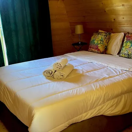 Quinta Do Carvalho - Nature